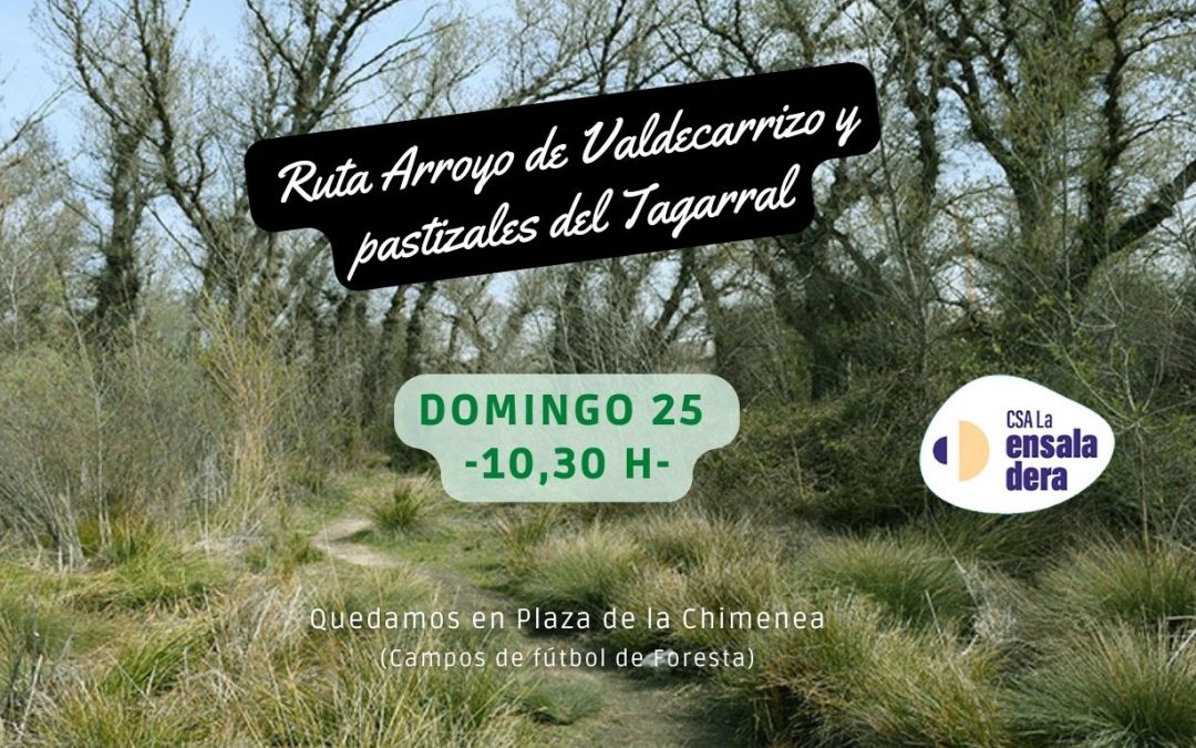 Ruta: Ribera Valdecarrizo y pastos del Tagarral