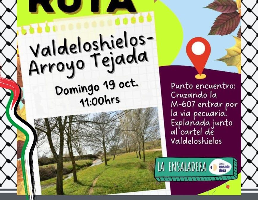 RUTA VALDELOSHIELOS-ARROYO TEJADA