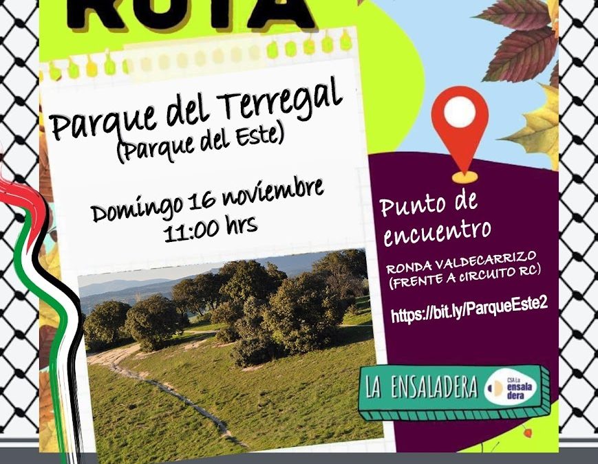 RUTA PARQUE DEL TERREGAL (PARQUE DEL ESTE)